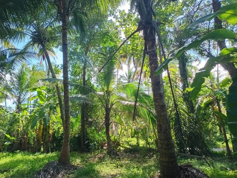 Land for sale