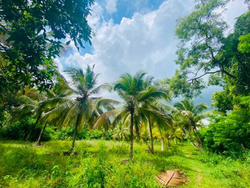 Land for sale