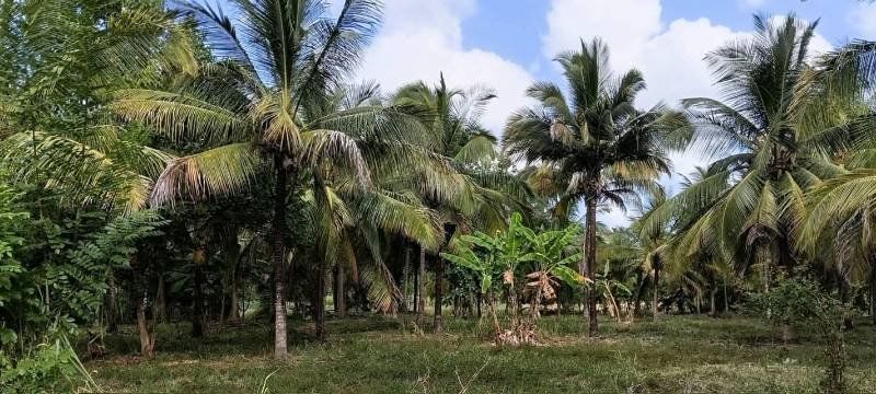 Land for sale