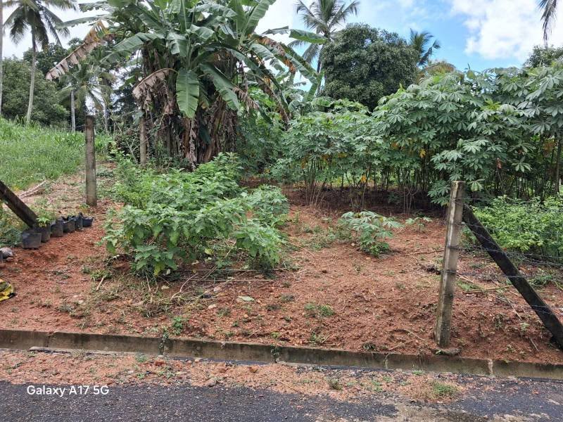 Land for sale