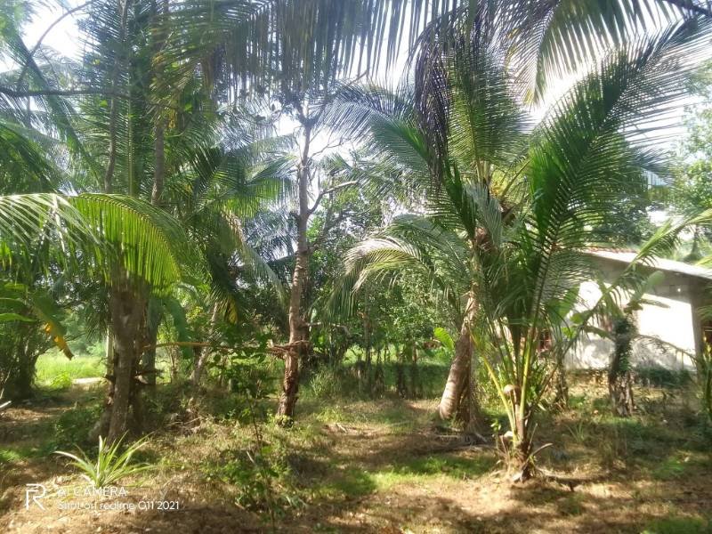 Land for sale