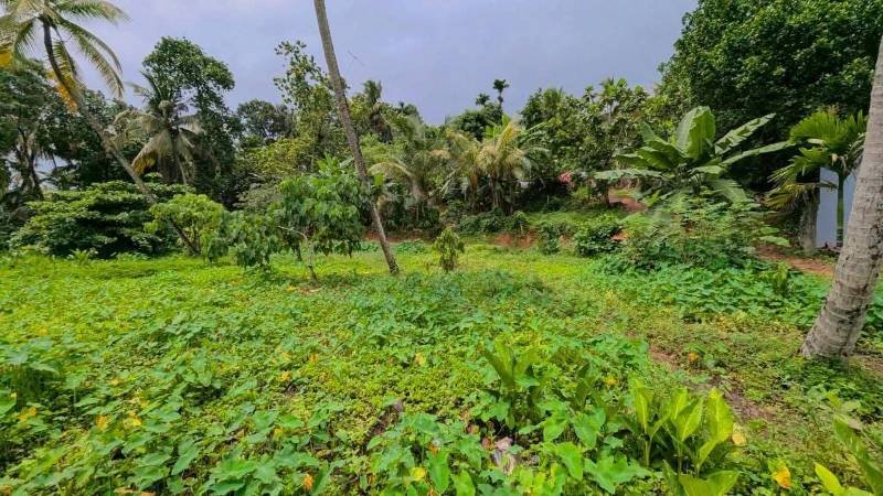 Land for sale