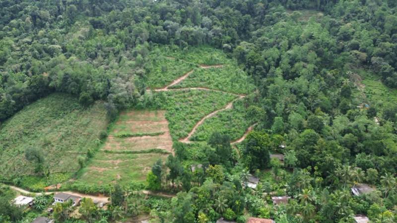 Land for sale