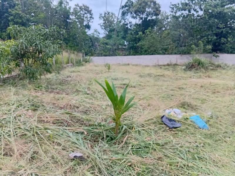 Land for sale