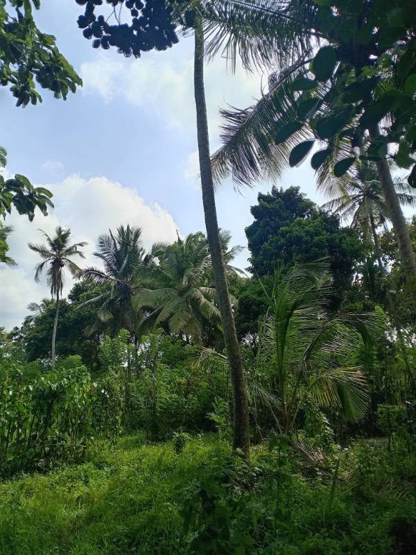Land for sale