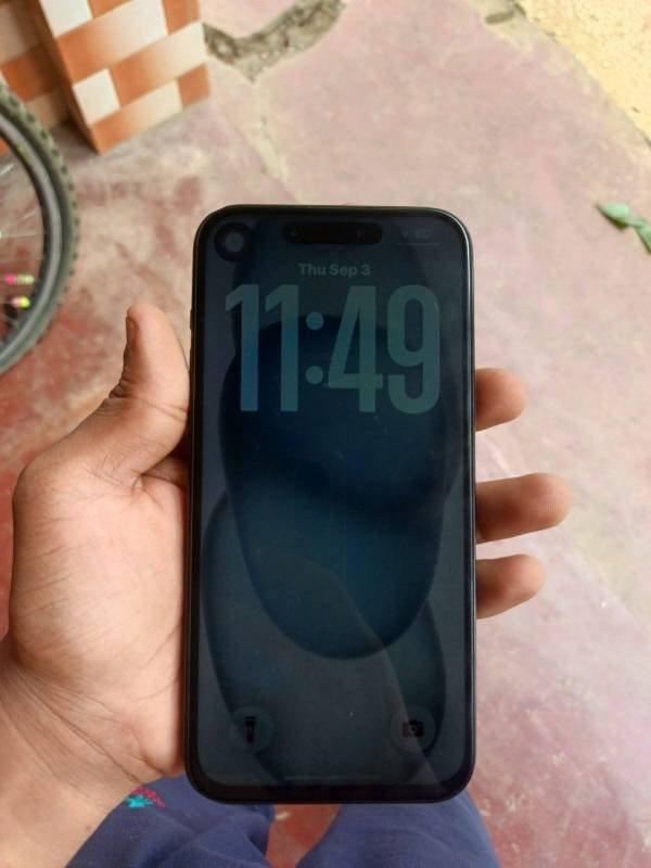 15 plus
