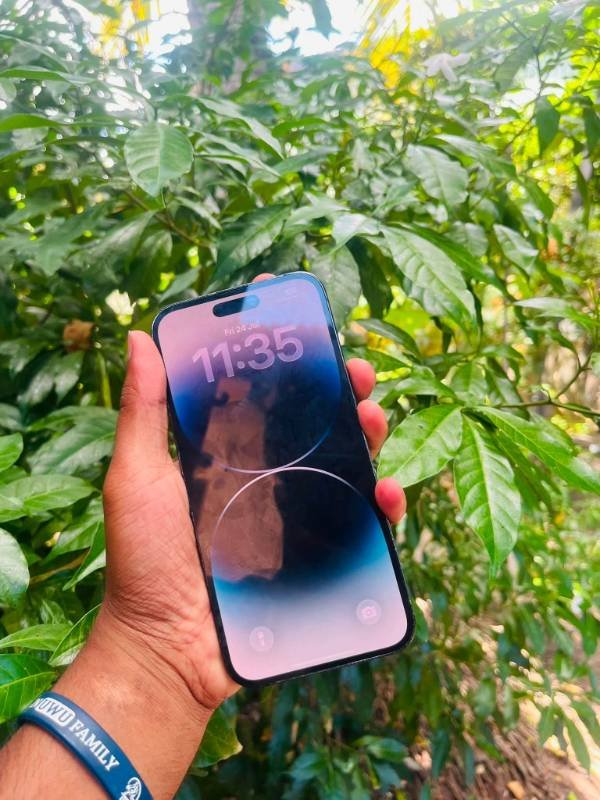 Phone