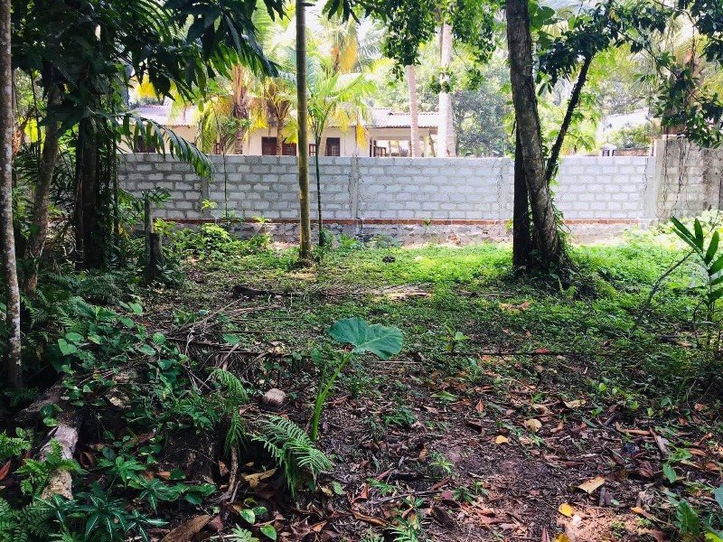 Land for sale