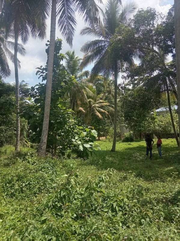 Land for sale