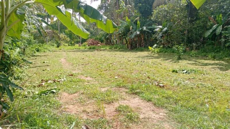 Land for sale