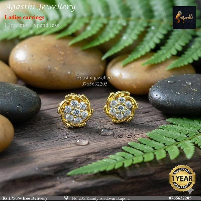Ladies earrings Rs.1750/= Free delivery 🚚