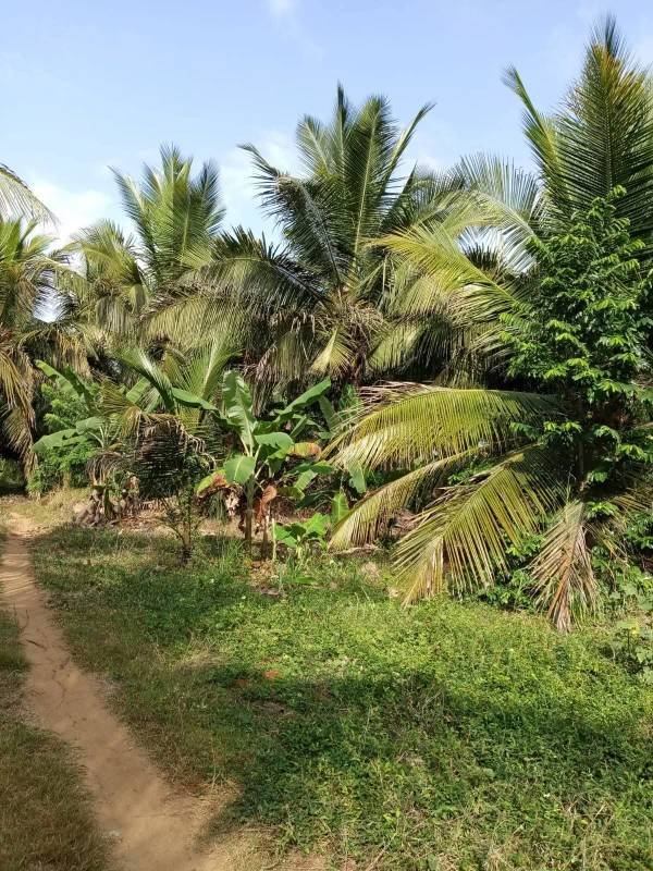Land for sale