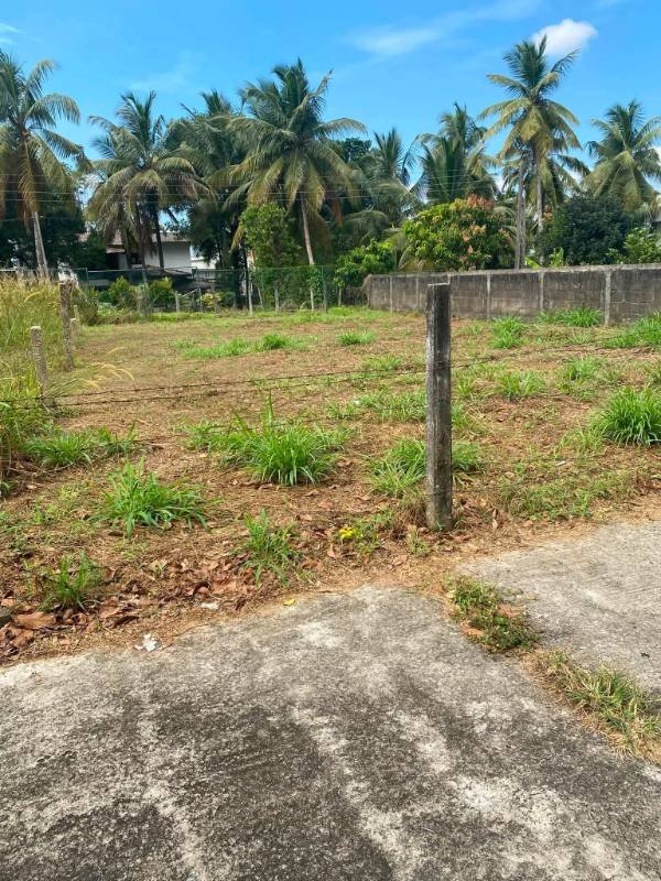 Land for sale