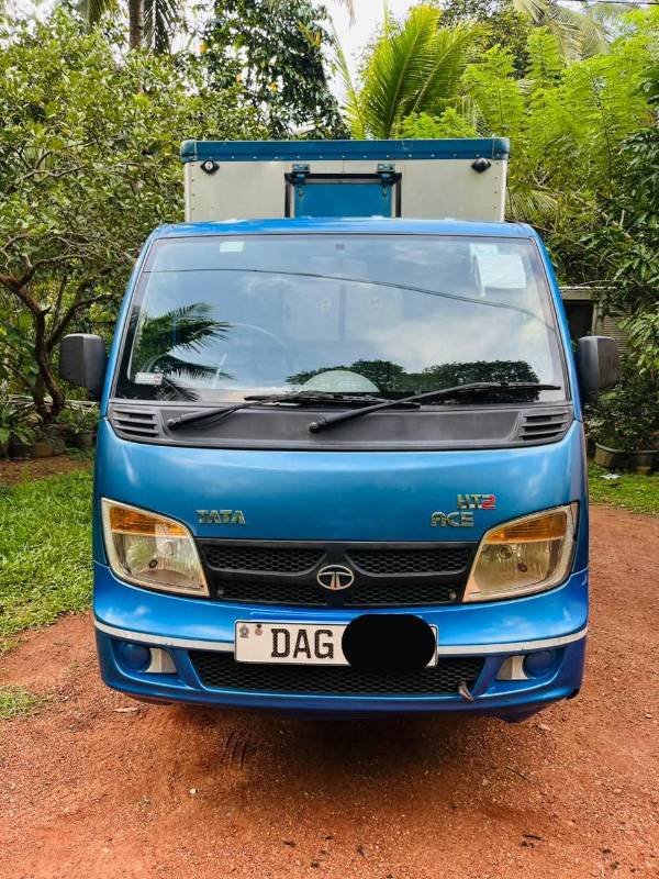 Dimo Batta for sale